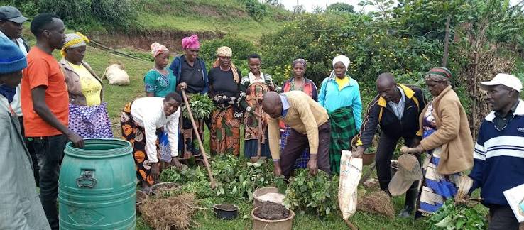 Composting demonstration