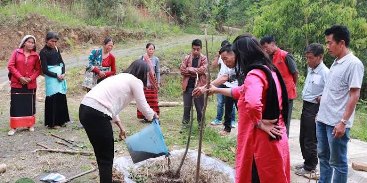Composting demonstration